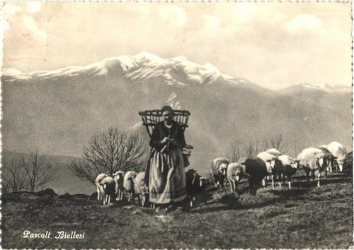 Biella italia pastorella - pastorella, e