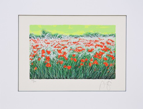 Franco azzinari serigrafia - -,