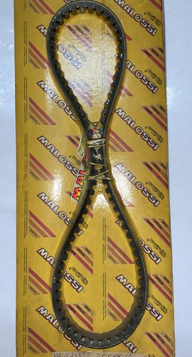 617233 cinghia malossi special - malossi,