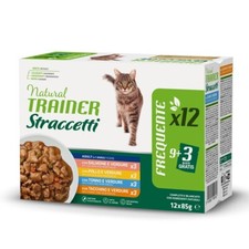 Trainer Gatto Adulto