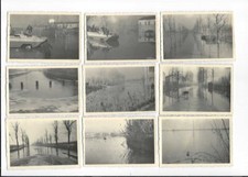 ADRIA ROVIGO POLESINE ALLUVIONE 1951 LOTTO 5 CARTOLINE + 41 FOTO + LIBRO