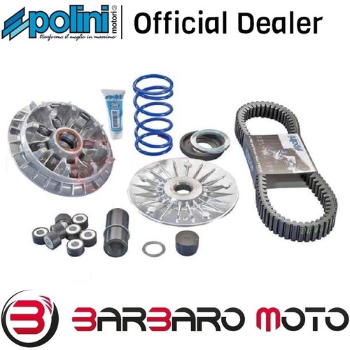 241 701 polini - polini, variatore