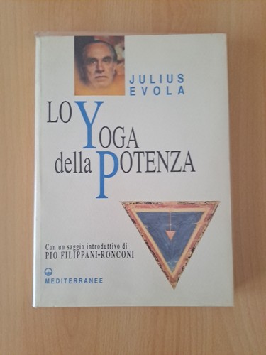 Yoga della potenza julius - lo,