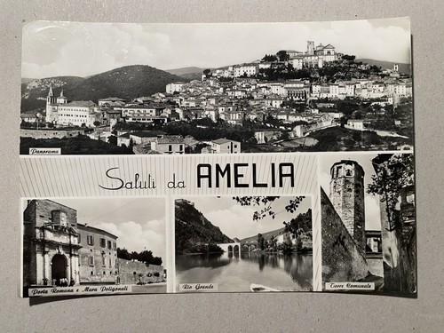 Terni amelia - -,