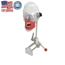 Simulatore dentale manichino