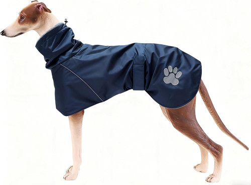 Invernale cappotto - invernale,