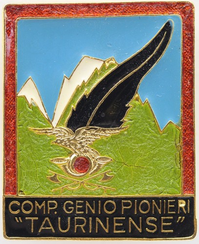 Distintivo alpini compagnia - distintivo,