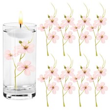 8 Pezzi Fiori di Orchidea