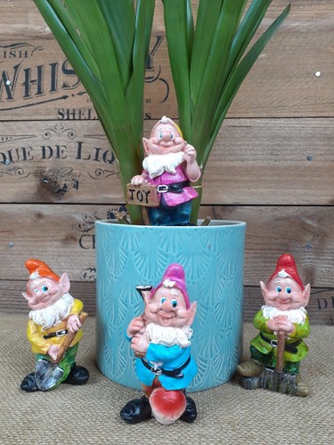 Gnomi decorativi - 4,