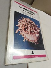 le conchiglie nel mondo