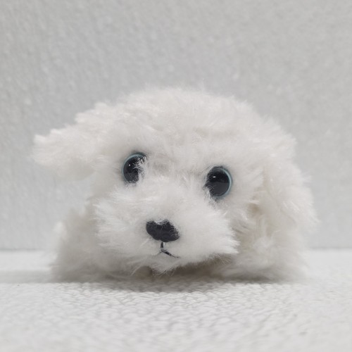 Russ petooties pets - russ, bianco