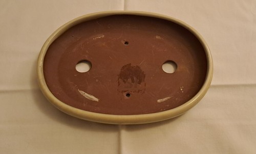 Vaso per bonsai - , ovale