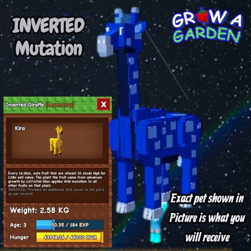 Giraffa invertita età - invertita., età/peso