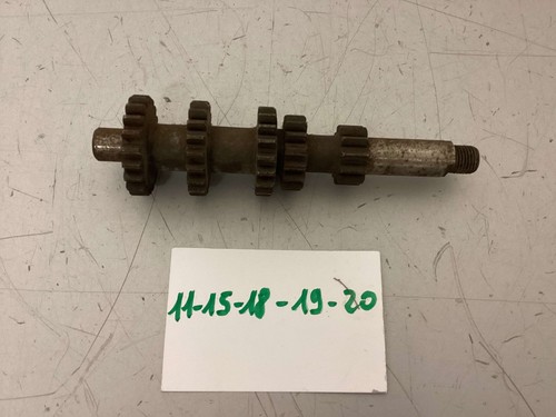 Malanca testa rossa marce - rossa,