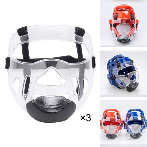 Clear taekwondo face - face, guard