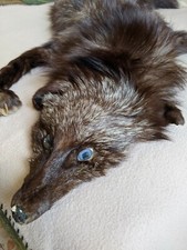 PELLICCIA COLLO DI VOLPE