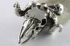 Grande Bufalo Buffalo Teschio