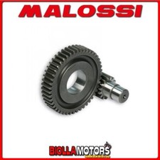 6712144 INGRANAGGI RAPPORTI