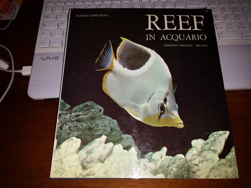 Reef acquario mauro - reef,