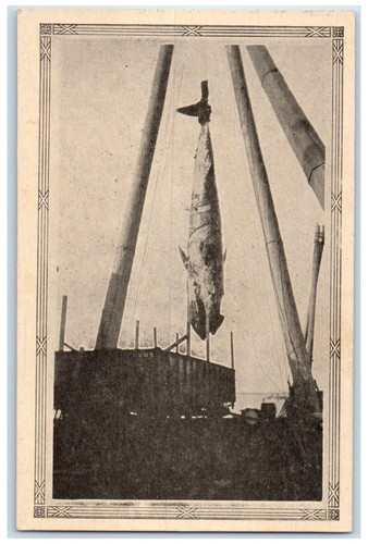 Cartolina primo tour - cartolina,