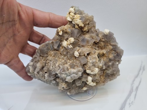 Minerali fluorite con barite - minerali◇fluorite,