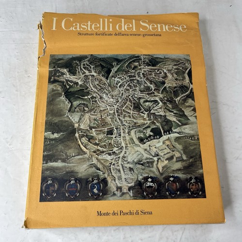 Castelli del senese - castelli,