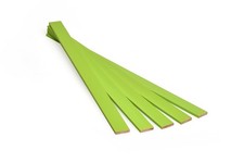 100 pezzi | Verde chiaro |