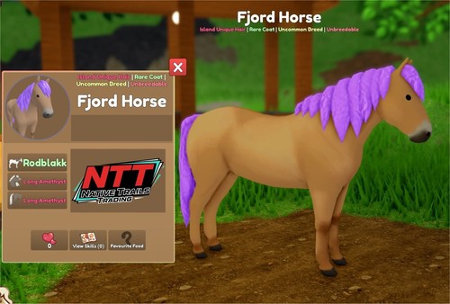 Wild horse islands - horse,