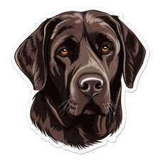 Chocolate Labrador Dog Sticker