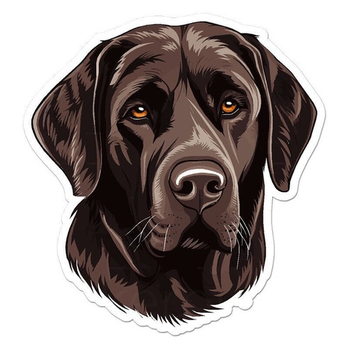 Adesivo cane labrador - cane,