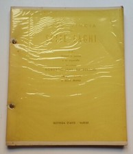 LA PROVINCIA DEI SETTE LAGHI pittore ROBERTO IRAS - BALDESSARI Varese 1952