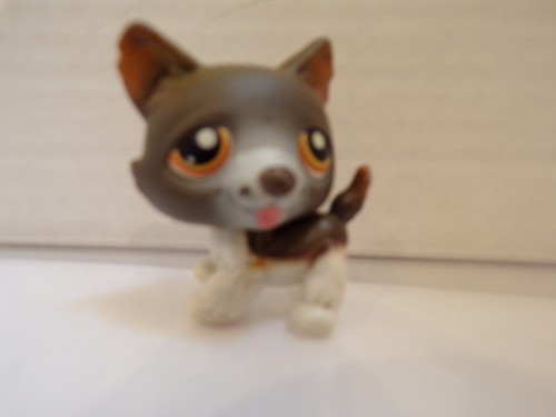 Littlest pet - littlest,