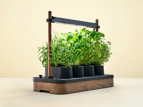 Auk mini bundle starter - bundle,