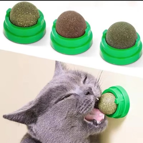 Gioco gatti erba gatta - gioco,