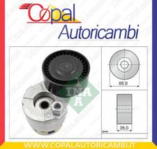 Tendicinghia, Cinghia Poly-V