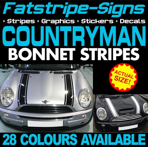 Montare mini countryman - montare,