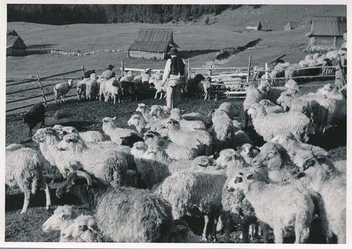 Foto nachl karl gissenler - nachl.,