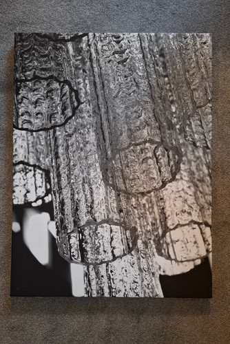 Grandi stampe fotografiche - 3,