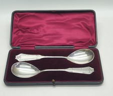 Coppia di cucchiaini da