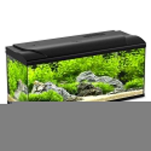 Acquario blu bios magis - blu,
