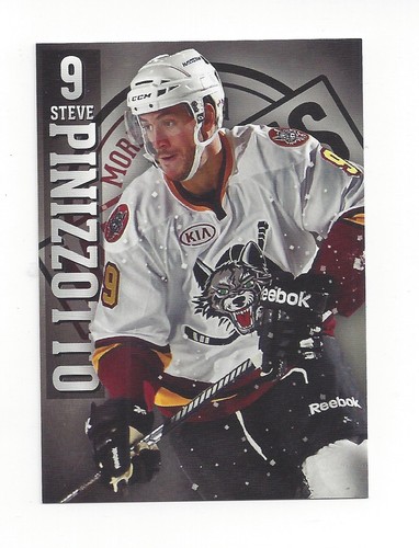 2012 chicago wolves - 2012-13, (ahl)