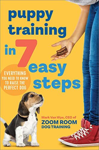 Puppy training easy - puppy, in
