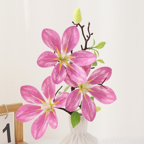Bouquet magnolia panno - bouquet,
