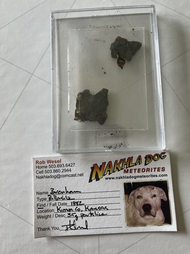 Brenham pallasite meteorite - brenham,