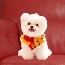 Collare per gatti di