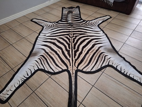 Pelle zebra una - -,