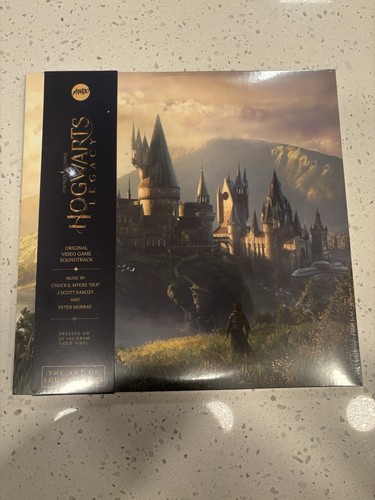 Harry potter hogwarts legacy - harry,