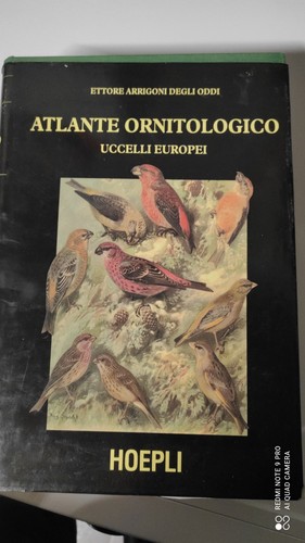 Ettore arrigoni degli oddi - arrigoni,