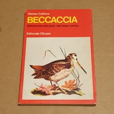 BECCACCIA Matteo Califano