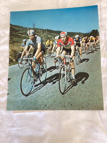 Ciclismo eddy merckx felice - eddy,